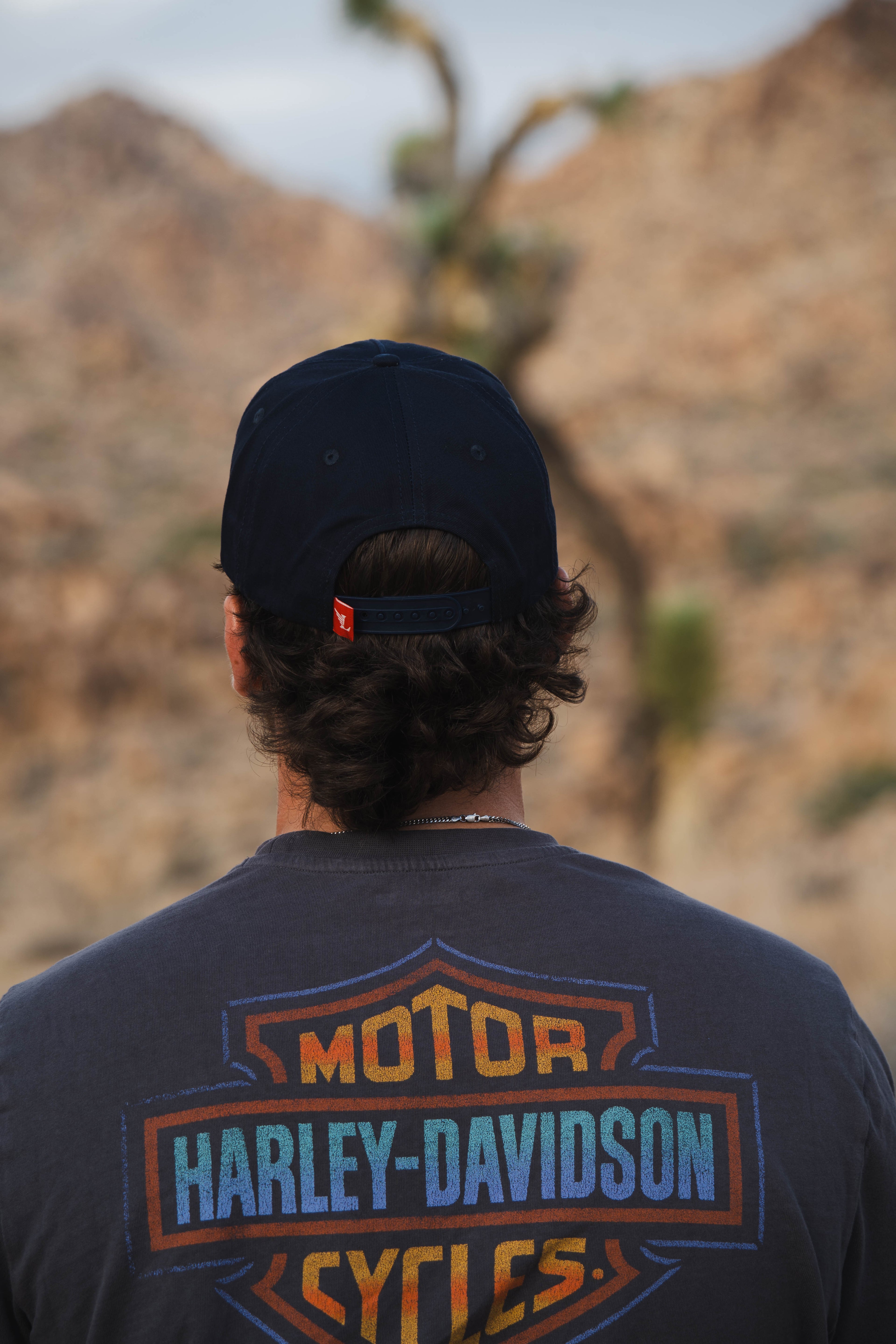 Wingin' It Snapback Blue